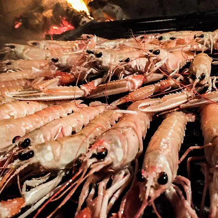 Appartement Marazul Povljana