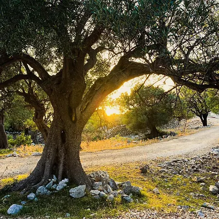 Marazul Διαμέρισμα Povljana