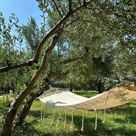 Marazul Διαμέρισμα