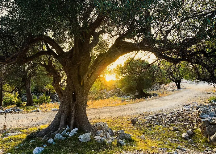 Marazul Apartament Povljana